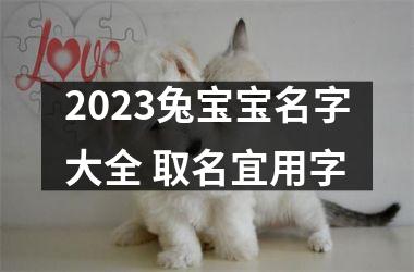 2025兔宝宝名字大全 取名宜用字