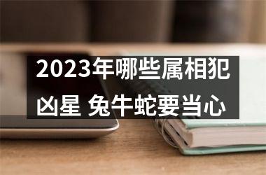 2025年哪些属相犯凶星 兔牛蛇要当心