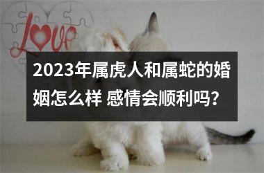 2023年属虎人和属蛇的婚姻怎么样 感情会顺利吗？