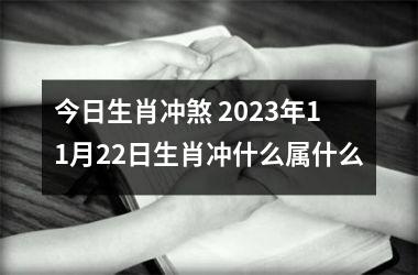 今日生肖冲煞 2023年11月22日生肖冲什么属什么