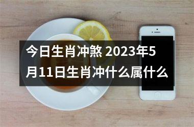 今日生肖冲煞 2023年5月11日生肖冲什么属什么