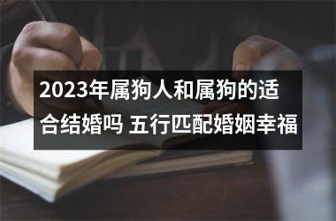 2025年属狗人和属狗的适合结婚吗 五行匹配婚姻幸福