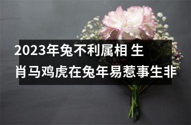 2023年兔不利属相 生肖马鸡虎在兔年易惹事生非