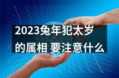 2023兔年犯太岁的属相 要注意什么