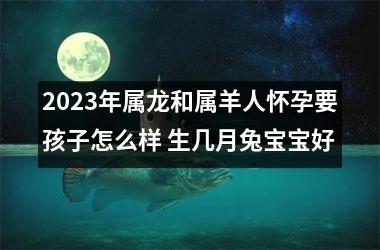 2023年属龙和属羊人怀孕要孩子怎么样 生几月兔宝宝好