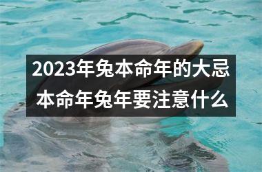 2023年兔本命年的大忌 本命年兔年要注意什么