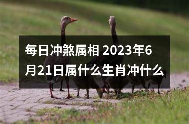 每日冲煞属相 2023年6月21日属什么生肖冲什么