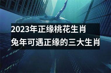 2023年正缘桃花生肖 兔年可遇正缘的三大生肖