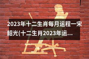 2025年十二生肖每月运程一宋韶光(十二生肖2025年运势详解)