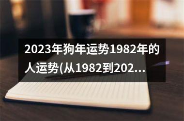 2023年狗年运势1982年的人运势(从1982到2023：狗年大运相伴)