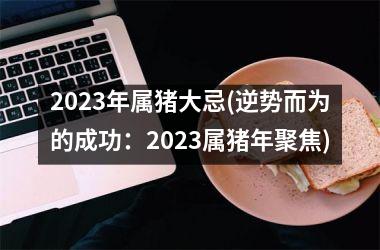 2023年属猪大忌(逆势而为的成功：2023属猪年聚焦)