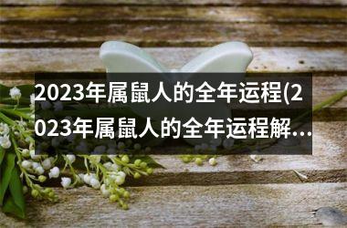 2023年属鼠人的全年运程(2023年属鼠人的全年运程解析)