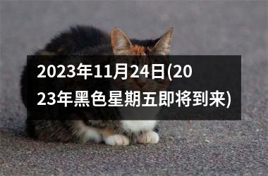 2023年11月24日(2023年黑色星期五即将到来)