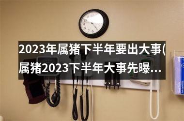 2023年属猪下半年要出大事(属猪2023下半年大事先曝光)