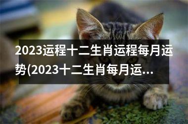 2023运程十二生肖运程每月运势(2023十二生肖每月运势详解)