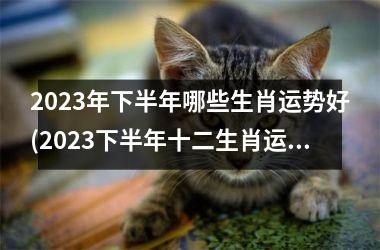 2023年下半年哪些生肖运势好(2023下半年十二生肖运势大揭秘)