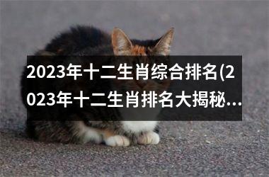 2023年十二生肖综合排名(2023年十二生肖排名大揭秘)