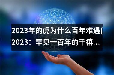 2023年的虎为什么百年难遇(2023：罕见一百年的千禧之虎)