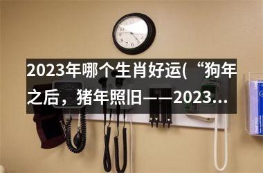 2023年哪个生肖好运(“狗年之后，猪年照旧——2023年属猪逆袭狗年！”)