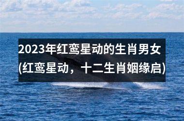 2025年红鸾星动的生肖男女(红鸾星动，十二生肖姻缘启)