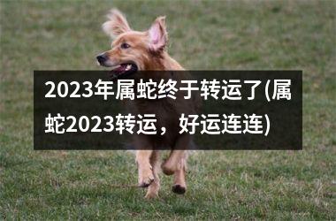 2023年属蛇终于转运了(属蛇2023转运，好运连连)