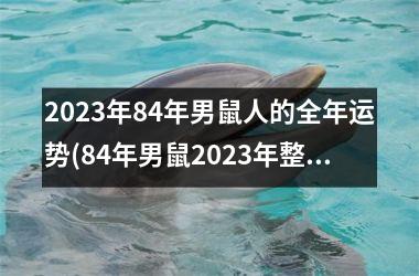 2023年84年男鼠人的全年运势(84年男鼠2023年整体财运稳步上升！)