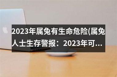 2023年属兔有生命危险(属兔人士生存警报：2023年可能存在生命危险！)