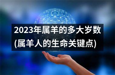 2023年属羊的多大岁数(属羊人的生命关键点)