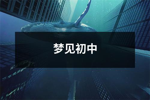 <h3>梦见初中