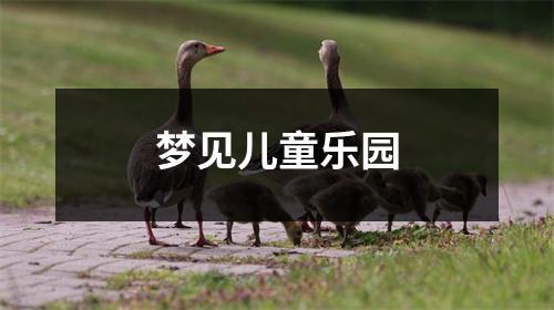 <h3>梦见儿童乐园
