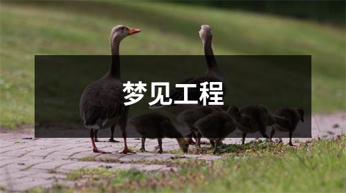 <h3>梦见工程