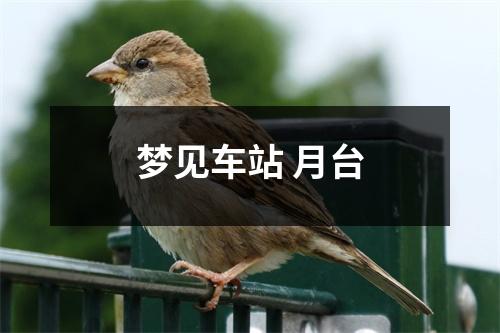 <h3>梦见车站月台