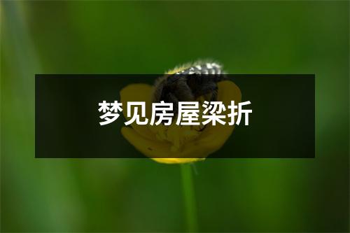 <h3>梦见房屋梁折