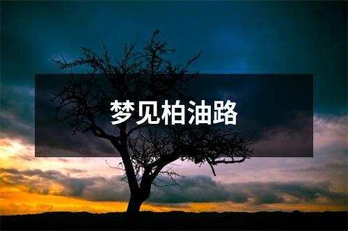 <h3>梦见柏油路