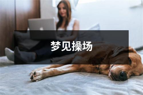 梦见操场