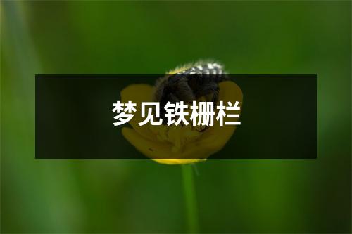 梦见铁栅栏