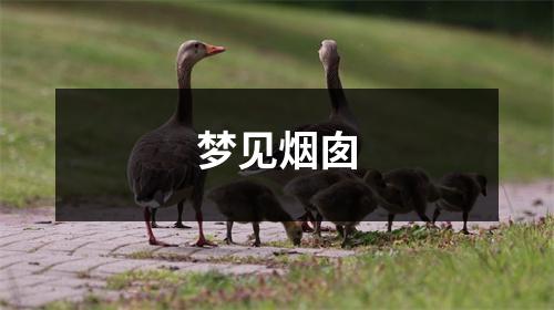 <h3>梦见烟囱