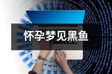<h3>怀孕梦见黑鱼