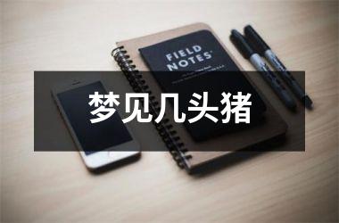 <h3>梦见几头猪