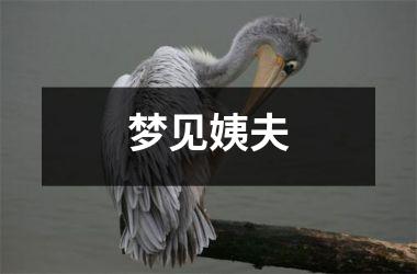 梦见姨夫