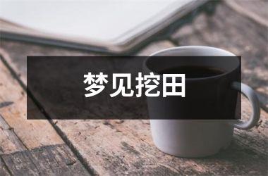<h3>梦见挖田
