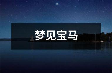 <h3>梦见宝马