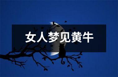<h3>女人梦见黄牛