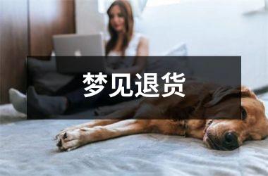 <h3>梦见退货