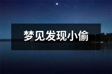 <h3>梦见发现小偷