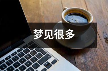 <h3>梦见很多