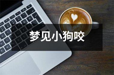 <h3>梦见小狗咬