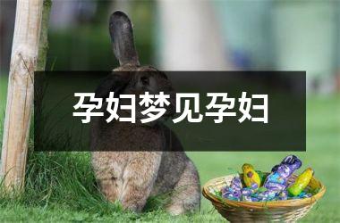<h3>孕妇梦见孕妇