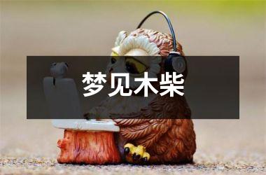 <h3>梦见木柴
