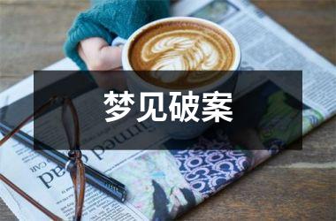 <h3>梦见破案